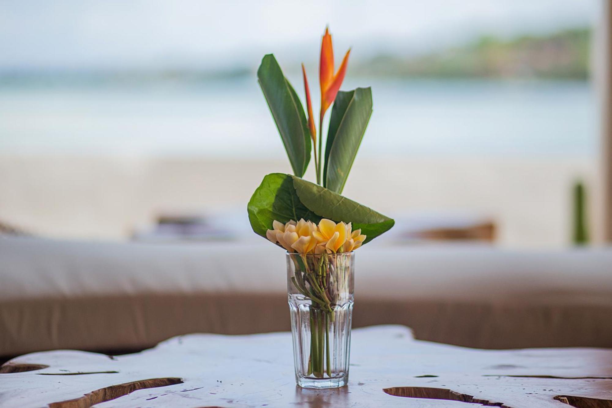Sunset House Ceningan, 10 Person Beachview Private Villa Lembongan Dış mekan fotoğraf